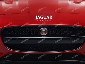 Jaguar Racing Pegatina para capó