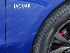 Jaguar Racing pegatinas para alas