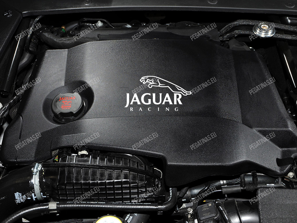 Jaguar Racing Pegatina para la cubierta del motor